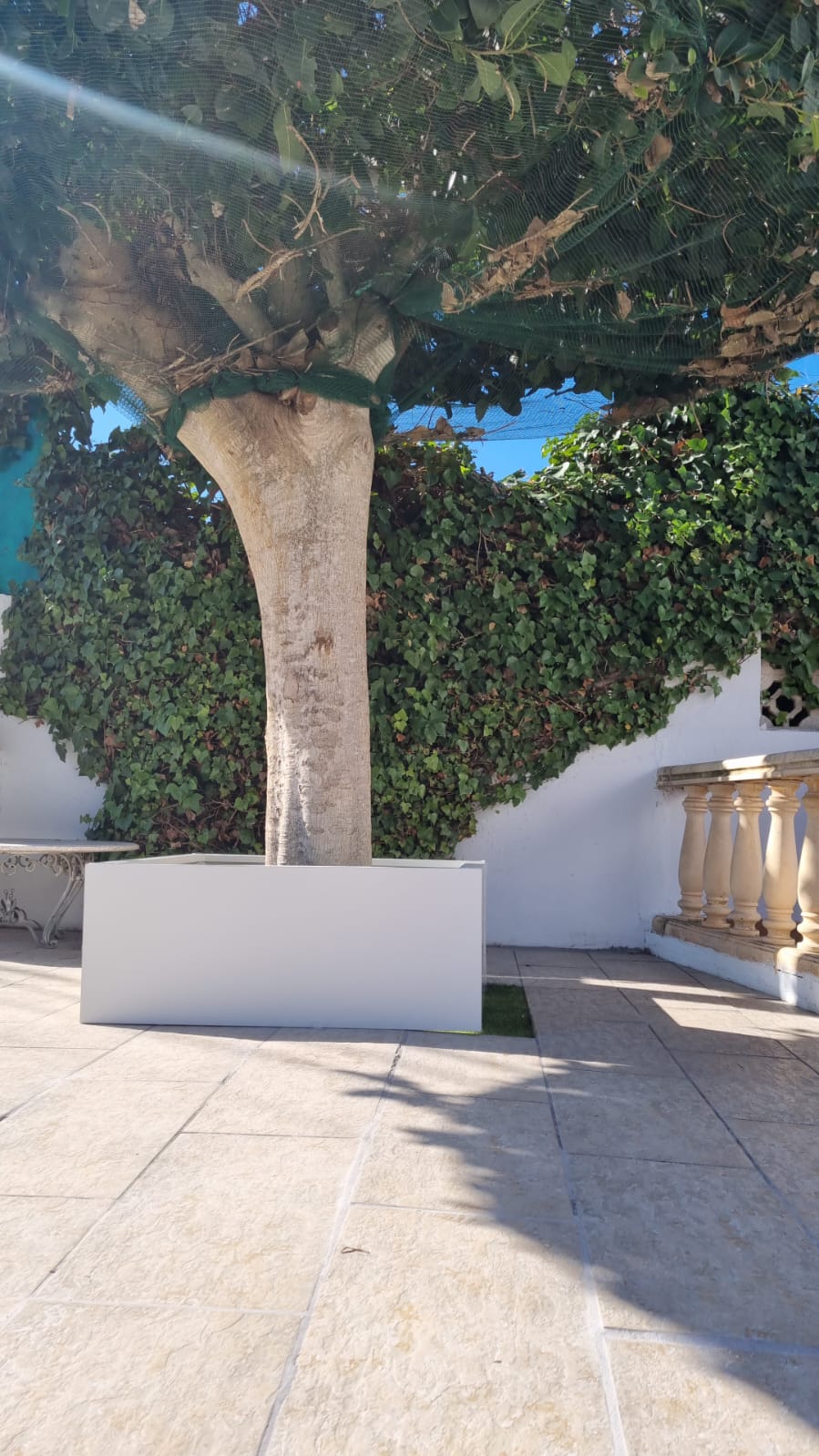 Plantenbak rondom boom